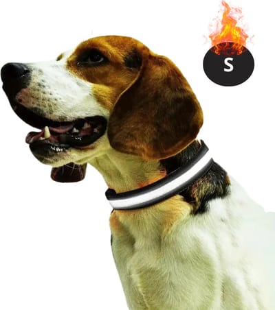 Bovista Lichtgevende Halsband - Verlichte Halsband - Lichtgevend - Hond - Kat - Lampje - Hondenhalsband Led - Oplaadbaar - Glow In The Dark - Zwart - S