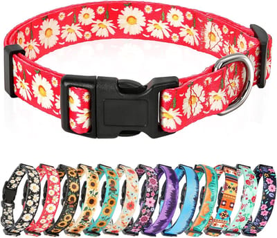 Hondenhalsband Klassiek Patroon Halsbanden Zacht Verstelbaar Comfortabel Wandelen en Training Halsband voor Puppy Kleine Middelgrote en Grote Honden, Margriet Rood, S