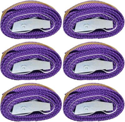Sjorbanden Set - Spanbanden - Lading Zekeren - Roestbestendige Gesp - 2 voet x 1 inch - Zwart Paars