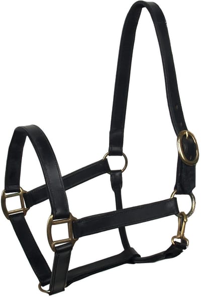 Baseline Leren Halster - Maat: Pony - Zwart - Leer