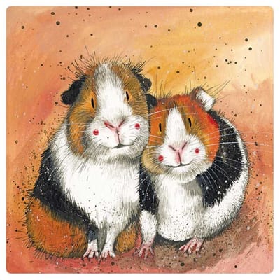 Alex Clark The Guinea Pig Guys Fridge Magnet ~ Koelkast magneet cavia's