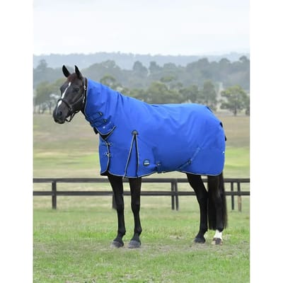 Outdoor paardendeken Weatherbeeta Comfitec Essential Combo 220g