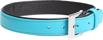 Duvoplus - Halsband Voor Dieren - Hond - Popular Leder Halsband 29-34cm/14mm Blauw - 1st