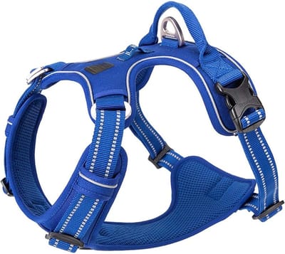 Famanu – Anti-trek hondentuig, verstelbaar en reflecterend nylon hondenharnas voor kleine en grote honden, koningsblauw, maat L