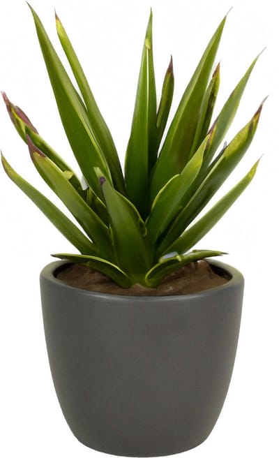 1x bloempot in kleur mat antraciet grijs keramiek voor kamerplant h17 x d19.5 cm- plantenpotten binnen