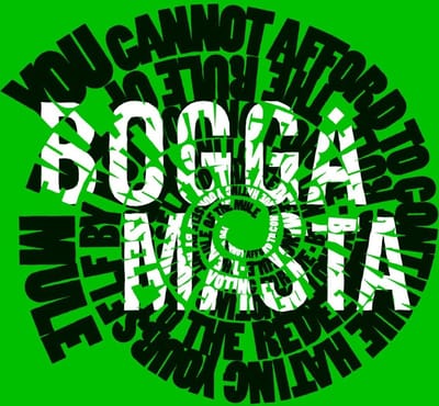 Flat Earth Society & David Bovée - Boggamasta (CD)