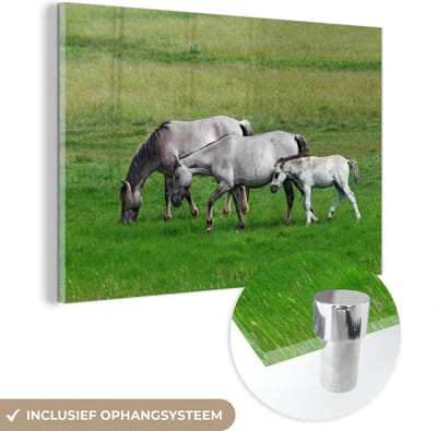 MuchoWow® Glasschilderij 30x20 cm - Schilderij acrylglas - Paarden - Dieren - Gras - Foto op glas - Schilderijen
