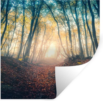 Muurstickers - Sticker Folie - Bos - Mist - Zon - Herfst - 100x100 cm - Plakfolie - Muurstickers Kinderkamer - Zelfklevend Behang XXL - Zelfklevend behangpapier - Stickerfolie