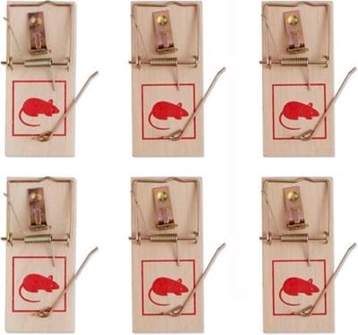 *** 6x Muizenvallen Muis Vangen - Pestcontrol - Classic Muizenval - van Heble® ***