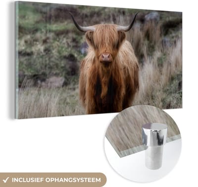 MuchoWow® Glasschilderij 40x20 cm - Schilderij acrylglas - Schotse Hooglander - Mos - Gras - Foto op glas - Schilderijen