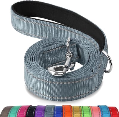 SnelShoppen - Dubbelzijdige Reflecterende Hondenriem 150 cm - Gevoerd Handvat - Stevige Nylon Riem voor Kleine en Middelgrote Honden - Grijs - Perfect