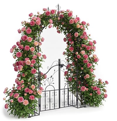 Rozenboog - 144x235x45 cm - zwart - met plantensteun