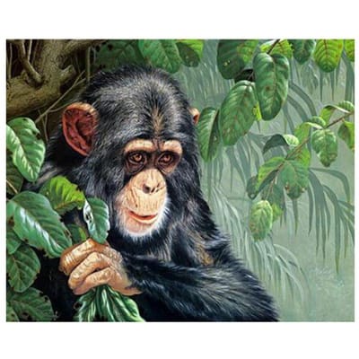 Diamant borduurwerk 5D DIY diamant schilderij kruissteek zwarte gorilla foto van steentjes 20X30CM black