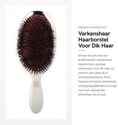 Dailygoods - Varkenshaar Haarborstel - Voor Dik Haar Styling - Zilver - Professionele Haarborstel - Ideaal voor Schoonheidssalon - Perfect voor Varken...