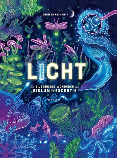 Licht - Jennifer N.R. Smith