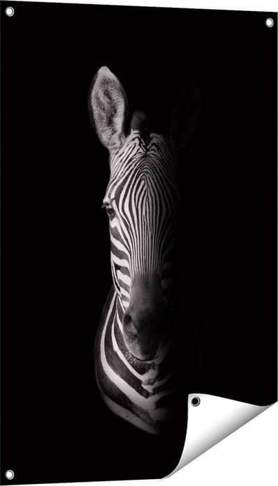 Gards Tuinposter Halve Zebra - Zwart Wit - 60x90 cm - Tuindoek - Tuindecoratie - Wanddecoratie buiten - Tuinschilderij