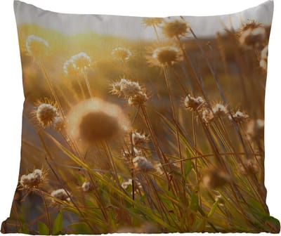 Tuinkussen - Planten - Natuur - Bloemen - Zon - Horizon - 40x40 cm - Weerbestendig