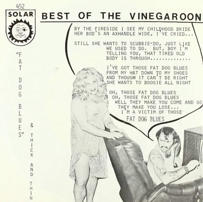 Vingaroons - The Best Of... (7" Single)