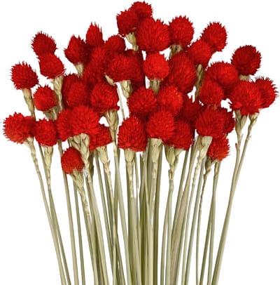 Gedroogde Bloemen - Droogbloemen Decoratie - Bloemstukken Maken - Natuurlijke Sfeer - 45 Stuks - Rood