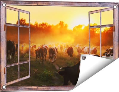Gards Tuinposter Doorkijk Kudde Koeien in Weiland bij Zonsondergang - 60x40 cm - Tuindoek - Tuindecoratie - Wanddecoratie buiten - Tuinschilderij