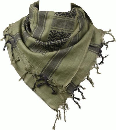 101 INC - PLO scarf skull bones -- Groen