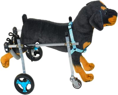 Hondenrolstoel - Hondenhulp - Mobiliteit Verbeteren - Verstelbare Achterpootsteun - 15-40 kg - Blauw