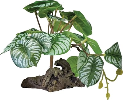 Repto Plant On Deco Begonia terrariumkunstplant 19 cm