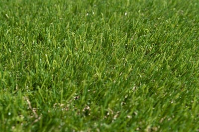 Kunstgras 2 x 10 meter - 30mm - Nederlandse Productie - Uitgeroepen zachtste Grastapijt | Waterdoorlatend | Tuin | Kind | Dier