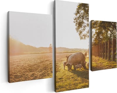 Artaza Canvas Schilderij Drieluik Varken Familie - Varkens - 90x60 - Foto Op Canvas - Canvas Print