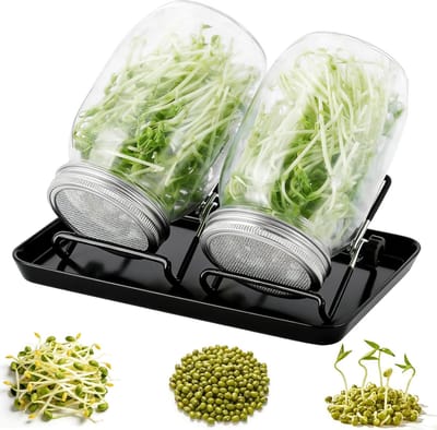 Set van 2 Kiemglazen met Roestvrijstalen Zeefdeksels en Staande Ringen voor het Ontkiemen van Alfalfa, Broccoli en Mungbonen