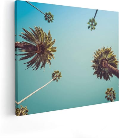 Artaza Canvas Schilderij Palmbomen met Bladeren in de Lucht - 50x40 - Foto Op Canvas - Canvas Print