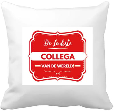 Akyol - de leukste collega Kussen hoes - Collega - een collega - werk - afscheidscadeau - verjaardagscadeau - 40 bij 40 cm