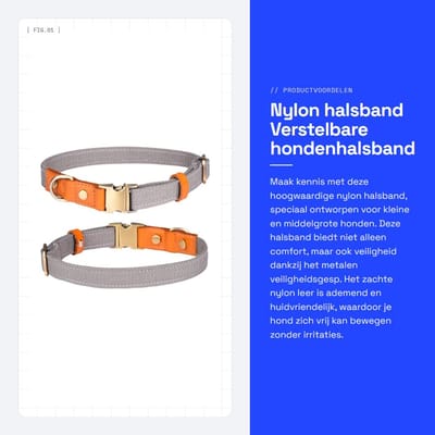 Dailygoods- Halsband Verstelbaar - Nylon/Huisdierhalsband - Roestvrij Stalen Gesp - Lichtgewicht/Zacht - Ademend/Huidvriendelijk - Geschikt voor Kleine/Middelgrote/Grote Honden - Hondenhalsband