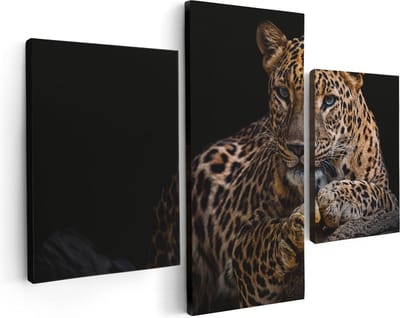 Artaza Canvas Schilderij Drieluik Luipaard Met Blauwe Ogen - 90x60 - Foto Op Canvas - Canvas Print