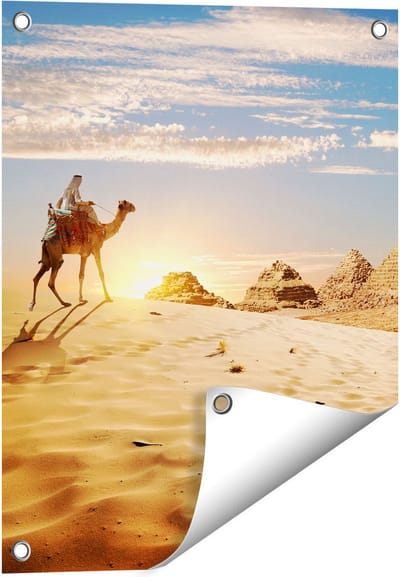 Gards Tuinposter Egyptische Piramides met een Kameel - 40x50 cm - Tuindoek - Tuindecoratie - Wanddecoratie buiten - Tuinschilderij