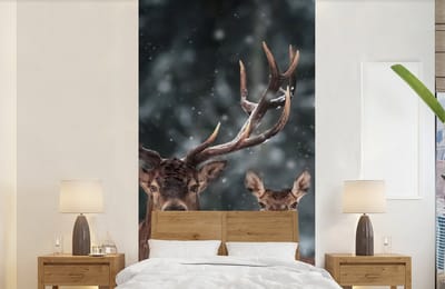 Behang - Fotobehang Hert - Dieren - Winter - Gewei - Sneeuw - Natuur - Breedte 120 cm x hoogte 240 cm