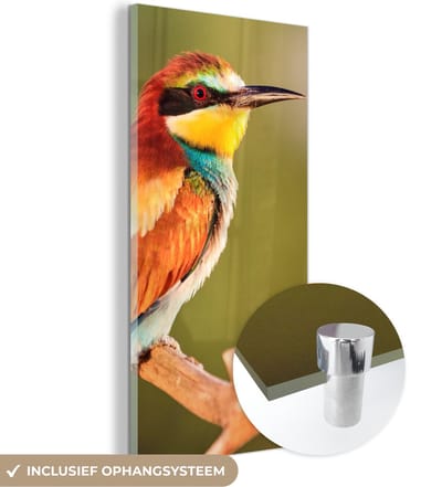 MuchoWow® Glasschilderij 20x40 cm - Schilderij acrylglas - Vogels - Bijeneter - Regenboog - Dieren - Foto op glas - Schilderijen