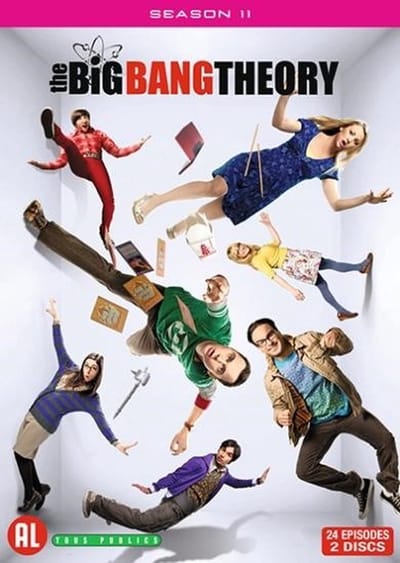 Big Bang Theory - Seizoen 11 (DVD)