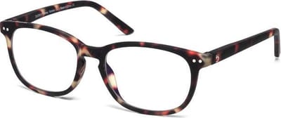 Blueberry Glasses Vintage Groot Donker Havanna