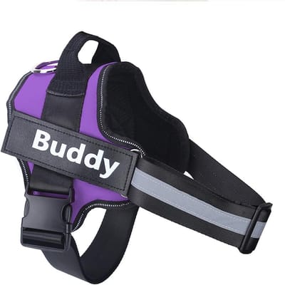 Gepersonaliseerd Hondentuig NO PULL Reflecterend Ademend Huisdier Tuig Vest Voor Kleine Grote Hond Outdoor Wandelen Training Accessoires XS