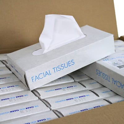 KURTT - 4000x Zakdoekjes (tissue), Voordeelverpakking, (40 x 100) papieren zakdoekjes 2-laags, 20x20 cm, fsc en ecolabel - reinigingsdoekjes cellulose