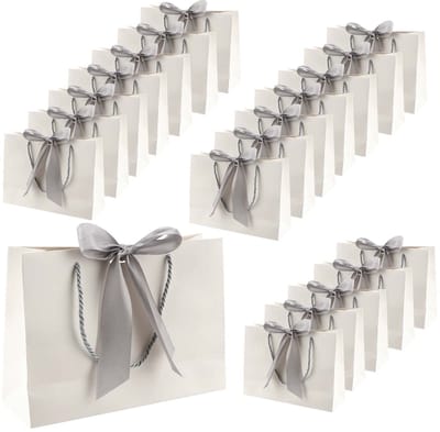 Dailygoods- Geschenkzakjes 20 stuks - Papieren Geschenktas - Feestzakjes met Handgrepen - Cadeautas voor Verjaardag - Bruiloft/Kerstmis - Afmetingen (L) 28 x (H) 20 x (B) 10 cm