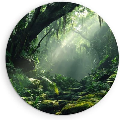 Saammp Muurcirkel Hout - Natuur - Jungle - landschap - Ø 90 - Wandcirkel - Wanddecoratie Cirkel - Muurdecoratie Woonkamer - Slaapkamer decoratie - Rond Schilderij