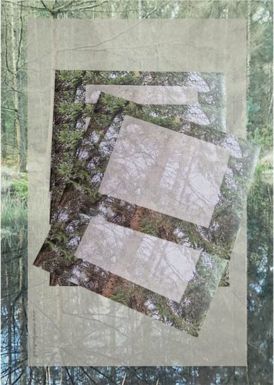 Briefpapier - Set Bosven - 12 vellen en 6 enveloppen - A4 formaat - Postpapier Natuur