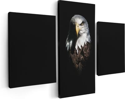 Artaza Canvas Schilderij Drieluik Adelaarkop - Adelaar - 90x60 - Foto Op Canvas - Canvas Print