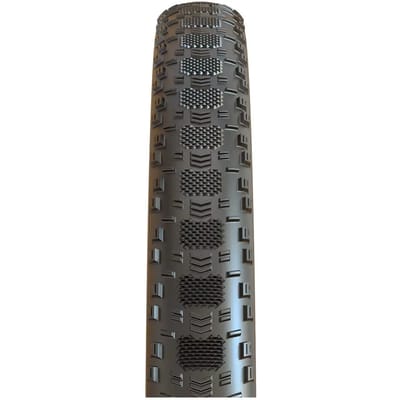 Maxxis Aspen St Maxxspeed Team Spec Tubeless 29´´ X 2.40 Mtb-band Zilver 29´´ x 2.40