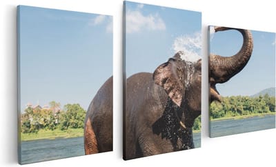 Artaza Canvas Schilderij Drieluik Vrolijke Olifant In Het Water  - 120x60 - Foto Op Canvas - Canvas Print