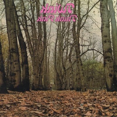 Vinyl Plaat - Muziek Drager - Muziek Luisteren - Originele Persing - 32 cm - Roze
