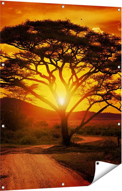 Gards Tuinposter Zonsondergang Achter een Savanne Boom - 90x120 cm - Tuindoek - Tuindecoratie - Wanddecoratie buiten - Tuinschilderij