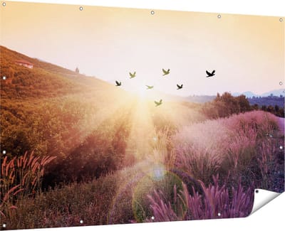Gards Tuinposter Silhouet Zwerm Vogels bij Zonsondergang - 180x120 cm - Tuindoek - Tuindecoratie - Wanddecoratie buiten - Tuinschilderij
